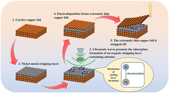 Graphical abstract: Effect of ultrasonic field on controlled organic stripping layer formation and its application in electrodeposition of ultra-thin copper foil