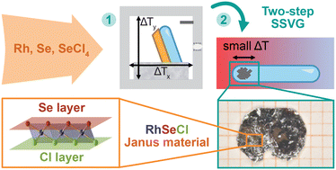Graphical abstract: Growth of large crystals of Janus phase RhSeCl using self-selecting vapour growth