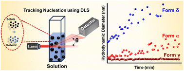 Graphical abstract: Concentration-dependent nucleation of pyrazinamide polymorphs monitored by dynamic light scattering