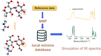 Graphical abstract: Unraveling the low-energy conformers of neutral and charged mono- and di-saccharides with first-principles accuracy assisted by neural network potentials