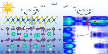 Graphical abstract: A first-principles study of interfacial vacancies in the β-CsPbI3/1T-MoS2 heterostructure towards photocatalytic applications