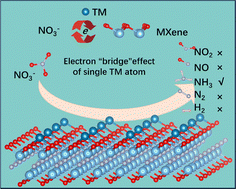 Graphical abstract: Revealing the origin of activity and selectivity in nitrate to ammonia conversion on single transition metal atom catalysts supported by a Ti2NO2 monolayer