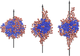 Graphical abstract: Dipole orientation of hydrated gas phase proteins
