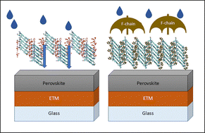 Graphical abstract: Computational design of dopant-free hole transporting materials: achieving an optimal balance between water stability and charge transport