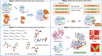Graphical abstract: Dynamics insights into CDK4/6–CyclinD1 complex stability modulated by abemaciclib