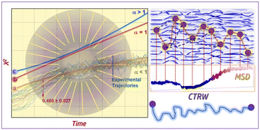 Graphical abstract: Concentration-dependent anomalous diffusion of crystal violet dye in agar gel: application of the continuous time random walk model