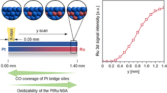 Graphical abstract: Effect of the Ru concentration on the CO tolerance and the oxidizability of a composition spread PtRu/Pt(111) near-surface alloy