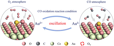 Graphical abstract: An environmentally adaptive gold single-atom catalyst with variable valence states