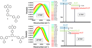 Graphical abstract: The role of branching in the ultrafast dynamics and two-photon absorption of two pyrimidine push–pull molecules