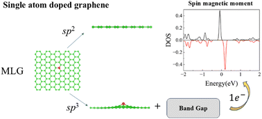 Graphical abstract: The role of local orbital hybridization in band gap opening and magnetism induced by single-atom doping in graphene