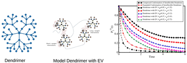 Graphical abstract: Unraveling the influence of excluded volume on orientational relaxation dynamics in dendrimers