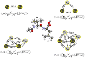 Graphical abstract: Modeling dissipative magnetization exchange dynamics in magnetic resonance