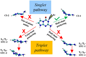 Graphical abstract: Efficient photodeactivation mechanism in an unnatural nucleic acid base