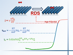Graphical abstract: Confirmation of the rate-determining step for ORR in the high potential region: adsorption process of oxygen molecules on the catalyst surface