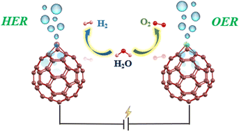 Graphical abstract: Metal-doped fullerene: promising electrocatalysts for hydrogen and oxygen evolution reactions