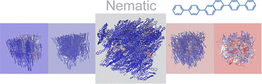 Graphical abstract: Insights into the nanostructuring and phase behaviour of an all-aromatic prototypical nematic liquid crystal