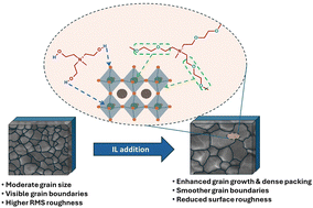 Graphical abstract: A comparative study on hydroxyl and ether functionalized ionic liquid additives for defect passivation and stability in perovskite solar cells