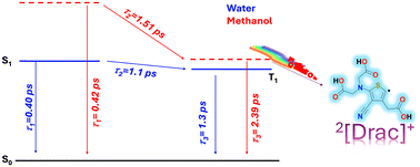 Graphical abstract: Exploring radical formation and ultrafast intersystem crossing in a heavy-atom-free thiophene derivative