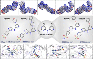 Graphical abstract: N-(Pyridin-3-yl)pyrimidin-4-amine analogues as potent CDK2 inhibitors: an in silico investigative approach