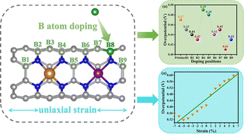 Graphical abstract: Improving the activity of the oxygen evolution reaction on TiN4–CoN4 embedded carbon nanotubes via boron atom doping and applying uniaxial strain