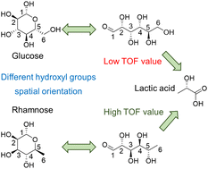 Graphical abstract: The effect of spatial orientation of hydroxyl groups on the cleavage of the C3–C4 bond in typical monosaccharides