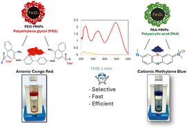 Graphical abstract: Selective, effective, and rapid removal of cationic and anionic organic dyes using various tailored polymer-coated (PEG, PVP, PAA/starch) magnetite nanoparticles