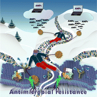 Graphical abstract: Harnessing antimicrobial peptide-functionalized nanoparticles: a perspective on experimental and computational strategies to combat antibiotic resistance