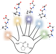Graphical abstract: Five structures of the Pro-Gly dipeptide unveiled by laser ablation rotational spectroscopy