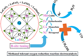 Graphical abstract: Tailoring LaBO3 (B = Mn, Fe, Co, Ni) perovskite oxides for methanol-tolerant oxygen reduction reaction electrocatalysts