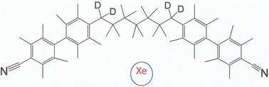 Graphical abstract: Properties of CB7CB-D4 as derived from 129Xe and 2H NMR experiments and computations