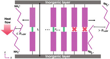 Graphical abstract: Theoretical insights into the thermal conductivity of 2D hybrid perovskites based on a thermal resistance network model