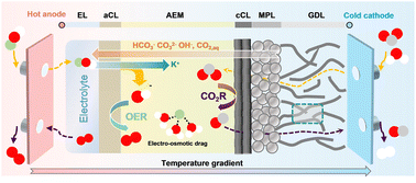 Graphical abstract: Mass and thermal management strategies for MEA-based CO2 electrolyzers enabled by physics-based modeling