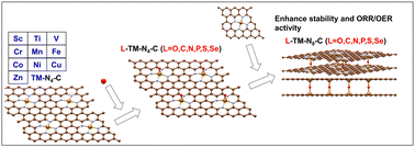 Graphical abstract: Axial engineering of bilayer single-atom catalysts for enhanced bifunctional oxygen electrocatalysis