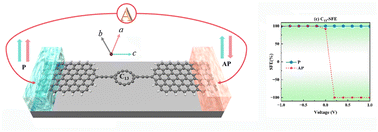 Graphical abstract: Spin multifunctional transport properties of C13 and C14 molecule-based molecular nanodevices