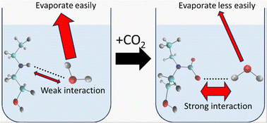 Graphical abstract: Thermodynamic properties of water in aqueous amine solutions studied by energy-representation method