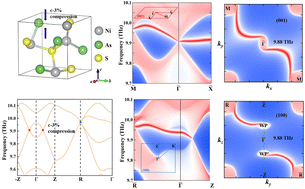 Graphical abstract: The coexistence and transformation of topological phonon states in NiAsS with strain regulation