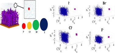 Graphical abstract: Combined machine learning and atomistic simulations reveal multi-state hydration in cationic brushes in the presence of halide counterions