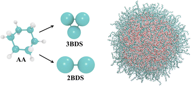 Graphical abstract: Molecular dynamics of space-confined water inside Span 80 reverse micelles with an all-atom and coarse-grained solvent
