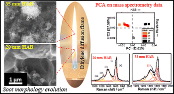 Graphical abstract: Ex situ characterization of the precursors of incipient nanoparticles in a laminar diffusion flame of ethylene