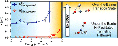 Graphical abstract: Quantum tunneling dynamics in the Ni+-mediated C–H activation of acetic acid
