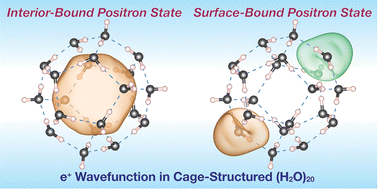 Graphical abstract: Positron binding in large water clusters: insights into cage-structured systems
