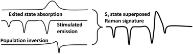 Graphical abstract: Vibrational signature of 11B+u and hot 21A−g excited states of carotenoids revisited by femtosecond stimulated Raman spectroscopy