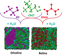 Graphical abstract: Structural and interfacial behavior of choline chloride-based DESs (CholCl:EG and CholCl:urea) at various weight percentages in water mixture