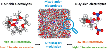 Graphical abstract: Strongly vs. weakly associating anions: transport–structure relationship in LiTFSI–LiNO3 electrolytes
