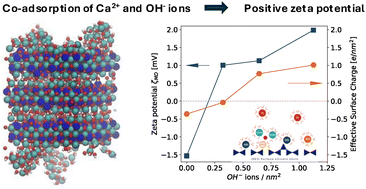 Graphical abstract: Immobilization of Ca2+ by OH− ions on calcium silicate hydrates