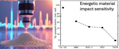 Graphical abstract: Evaluating the impact sensitivity of energetic materials using inelastic neutron scattering and low frequency THz-Raman spectroscopies