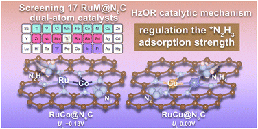 Graphical abstract: Boosting hydrazine electrooxidation on Ru-coordinated heteronuclear double metal atom catalysts