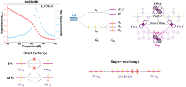 Graphical abstract: Enhanced Curie temperature of ferromagnetic CrSBr by interfacial coupling with elemental two-dimensional ferroelectrics: triggering a new p–d super-exchange coupling path