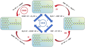 Graphical abstract: Single transition metal atoms anchored on WSe2/WS2 heterostructures as efficient bifunctional electrocatalysts for the OER/ORR