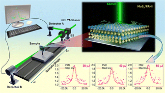 Graphical abstract: Polarons and Pauli-blocking enhanced saturable absorption in MoS2 nanorod/PANI nanocomposite films